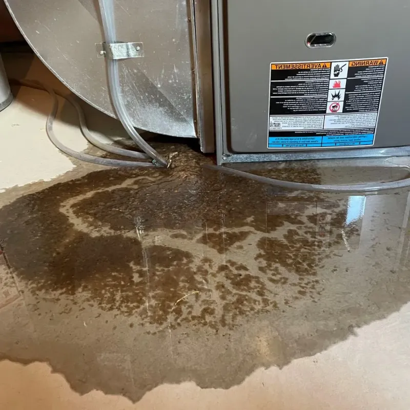 Pipe Burst and Leak Restoration in Mooresville, NC